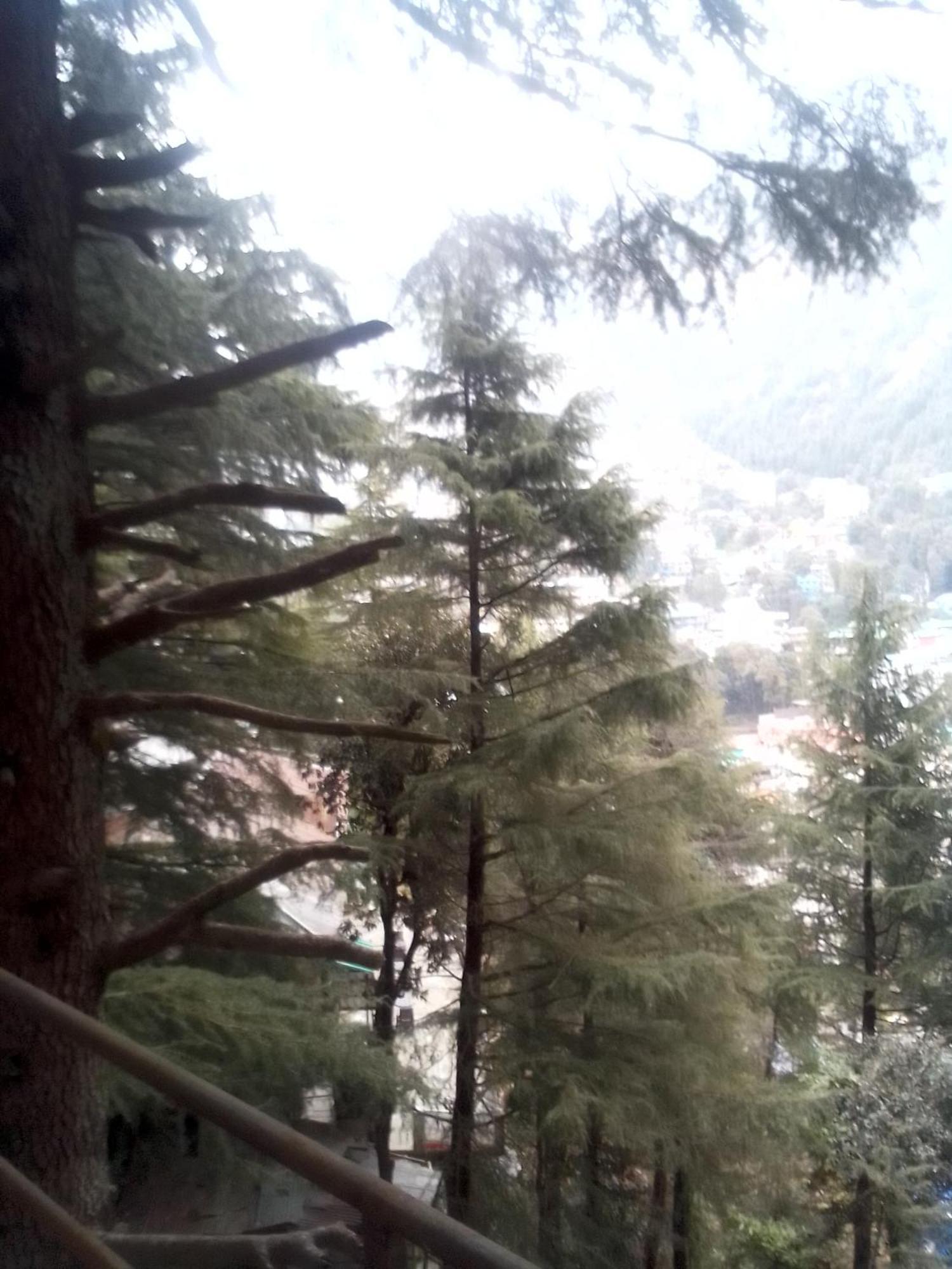 다람샬라 Himalayan Triund Trekking And Mountain View 호스텔 외부 사진